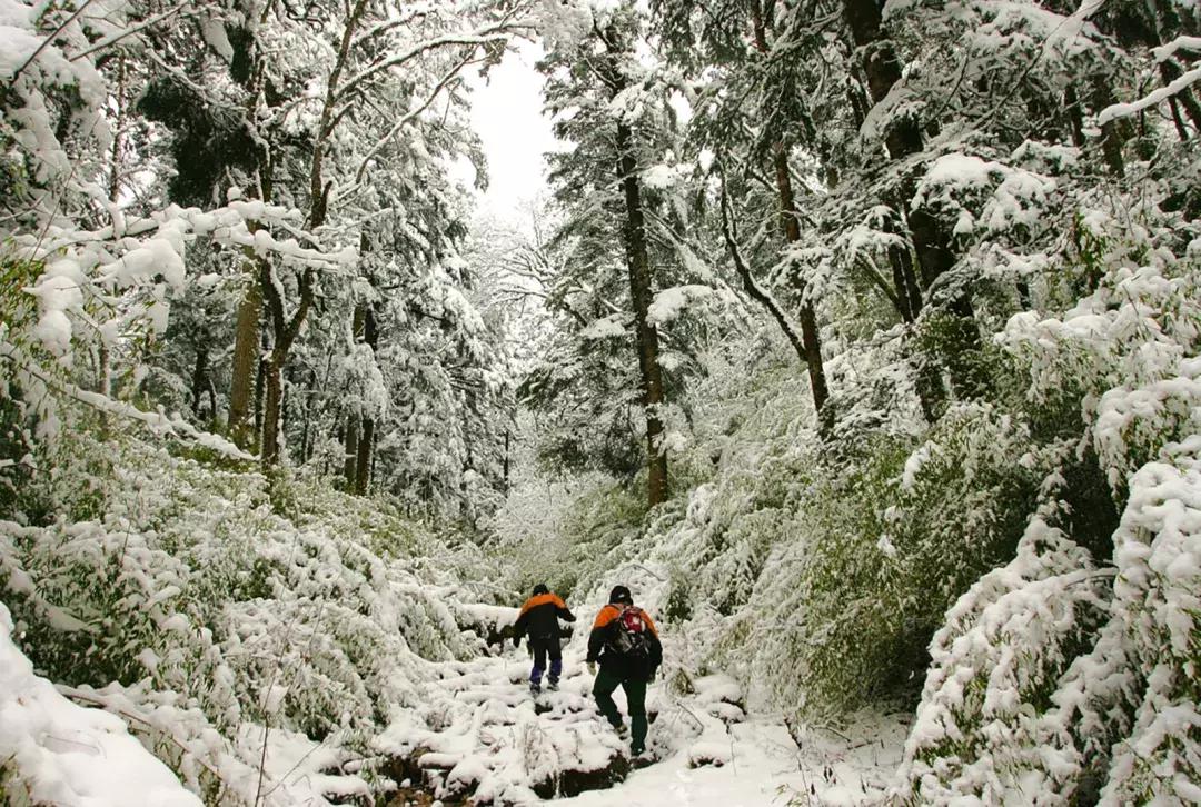 你才可爱你全家都可爱怎么回,你才可爱你全家都可爱出处