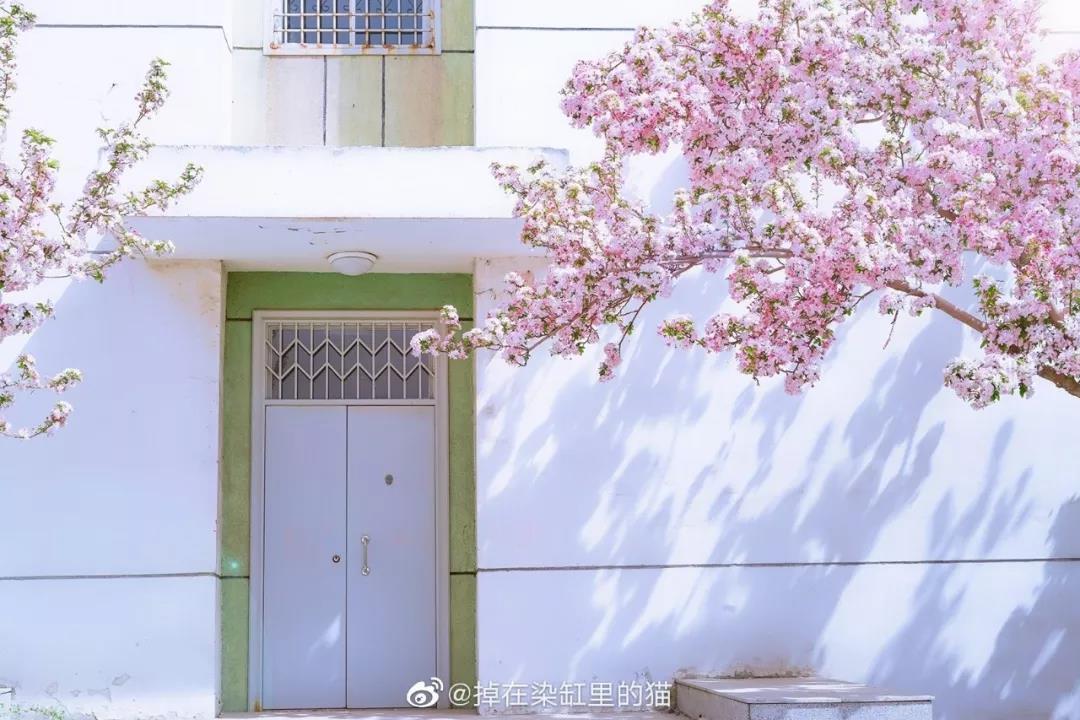 戴口罩的春节,戴口罩的冬天过去了