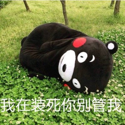 致敬项海王，股生PPT