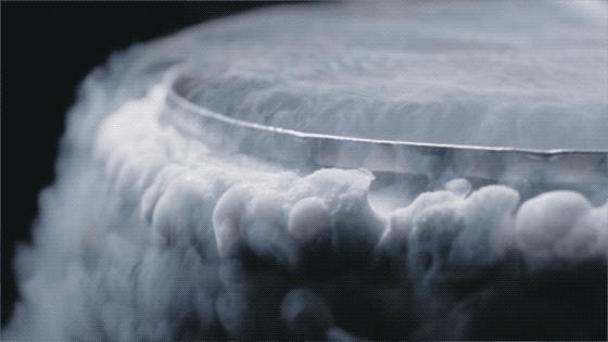 中国第一例人体冷冻术,中国第一个人体冷冻中心