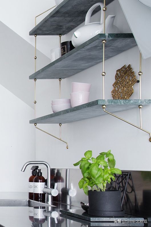 好养的北欧风大型绿植 (12款北欧风格绿植轻松打造ins风)