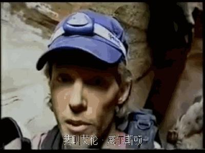 户外爱好者必看的电影,户外电影推荐大片9.0以上评分