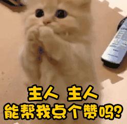 国足6-2大胜阿联酋甲级队比赛视频,国足6:0大胜韩国