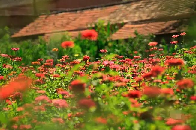 京郊好玩的,京郊最值得旅游的地方