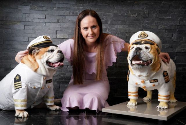 为什么很多人养外国犬种,英国斗牛犬为什么禁养