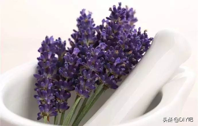 正品幸福狐狸植物精油喷雾,aussie护发精油喷雾