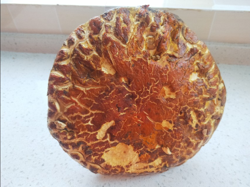 很多不同种类的蘑菇怎么做好吃,蘑菇怎么吃又白又好吃