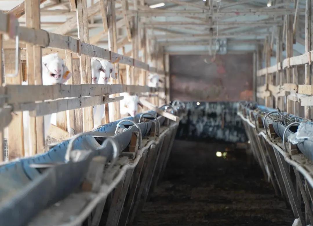 明知亏钱还是要做的是什么,明知亏本就该放手