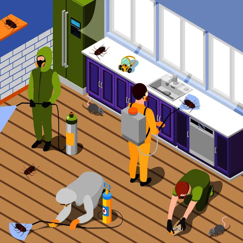 蟑螂药用多久才能彻底消灭蟑螂,蟑螂药打不死的小强