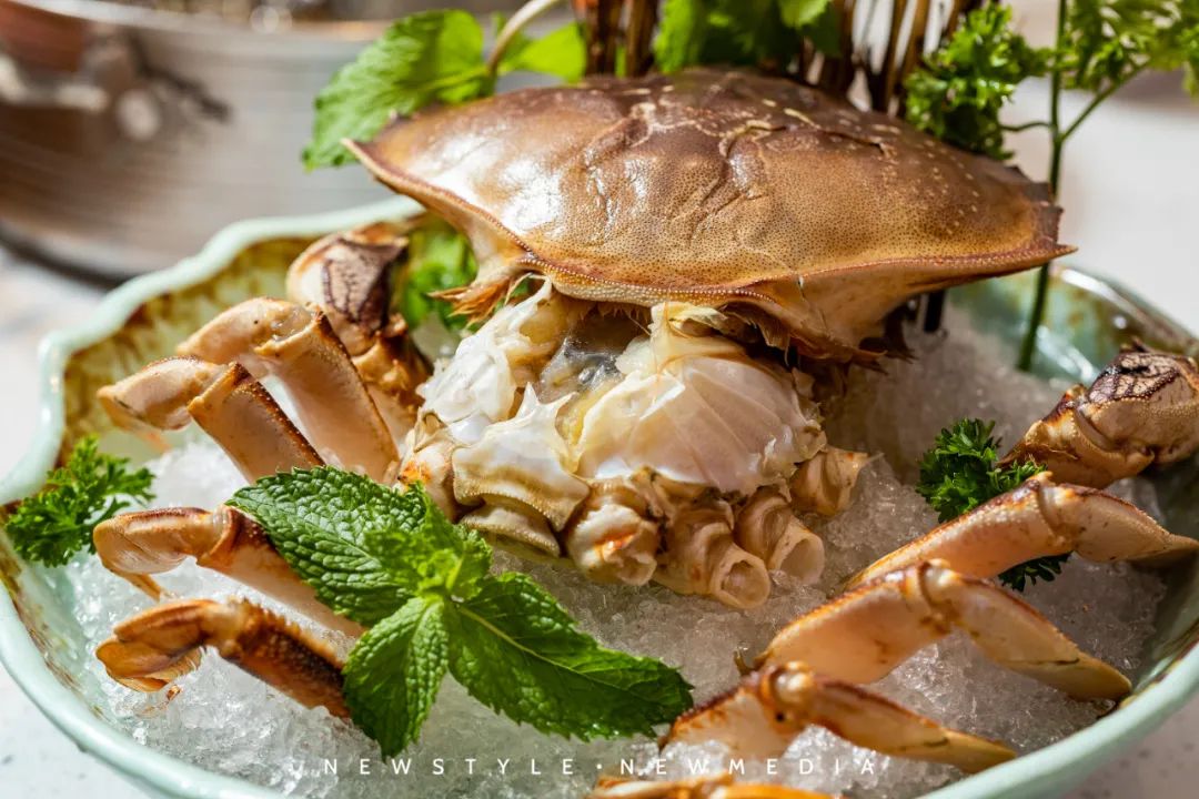 虹桥南丰城网红打卡景点,虹桥南丰城攻略