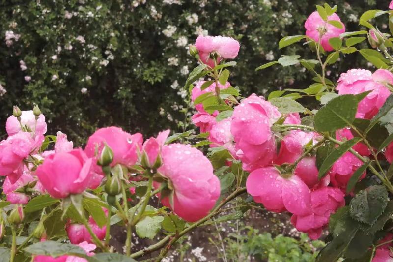 面对讨厌的人如何心理变强大,遇到讨厌的人又不得不面对