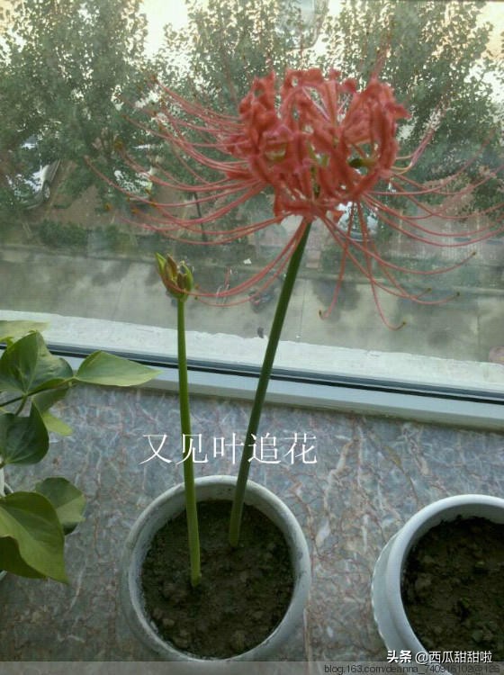 邮寄美好回忆,邮寄美好每一刻