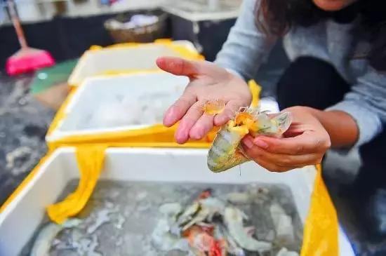 寿光羊口海鲜什么时间去合适,寿光羊口开海时间