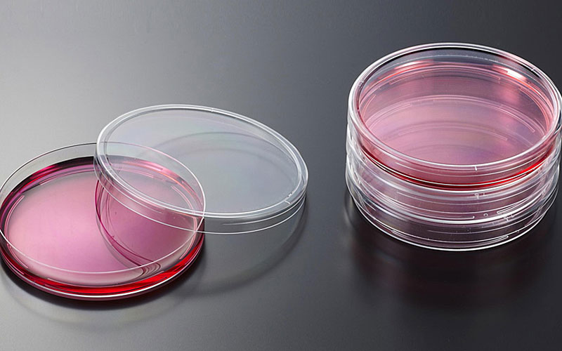 注射一针疫苗，就能杀死身上所有癌细胞，这种理想离实现有多远？