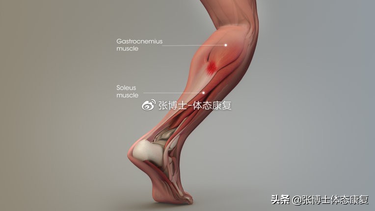 踝关节背屈受限怎样训练,踝关节能力训练