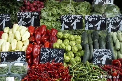 如何看清农批市场的批发菜价，没这认知估计以后难以混迹蔬菜江湖