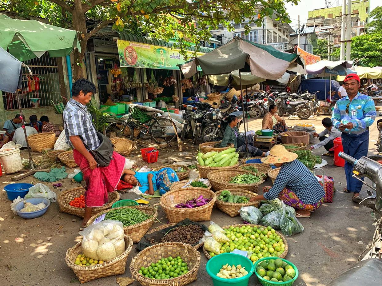 看完你还敢去缅甸北部吗,看完这篇文章你还敢去做鱼疗吗