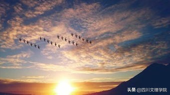 星辰的方向,星辰大海梦想的远航