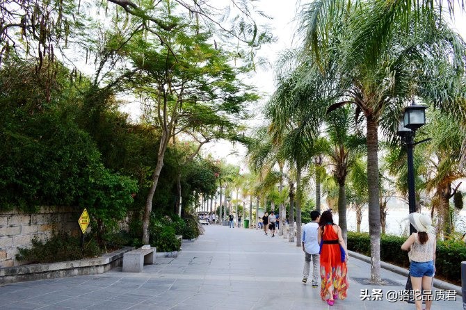 厦门海边之旅,厦门小众旅游体验