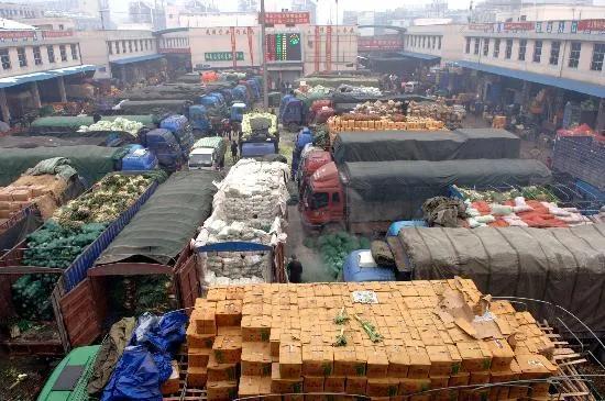 农业概况,中国农业基本现状