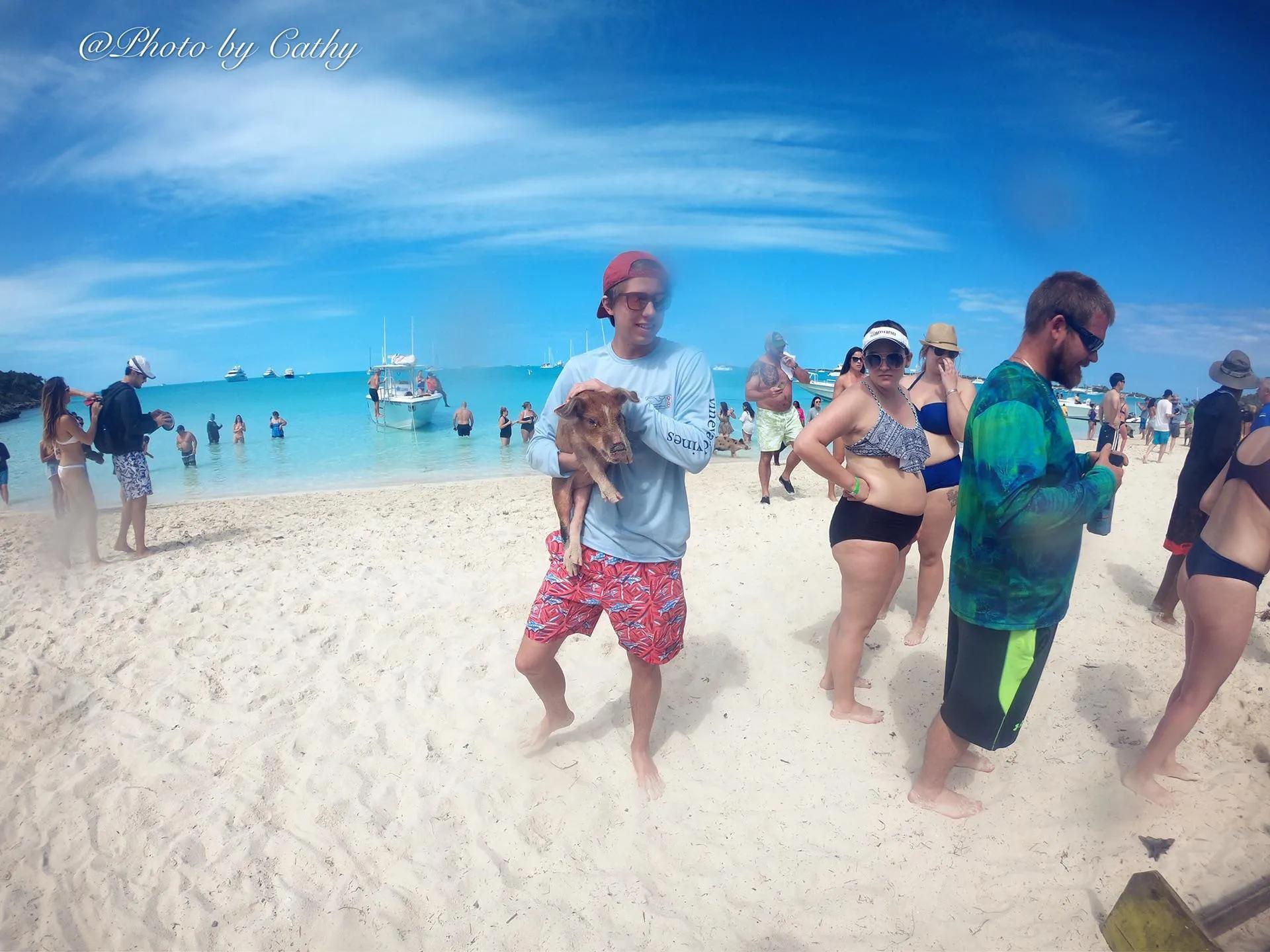 巴哈马粉色沙滩攻略,巴哈马粉沙滩