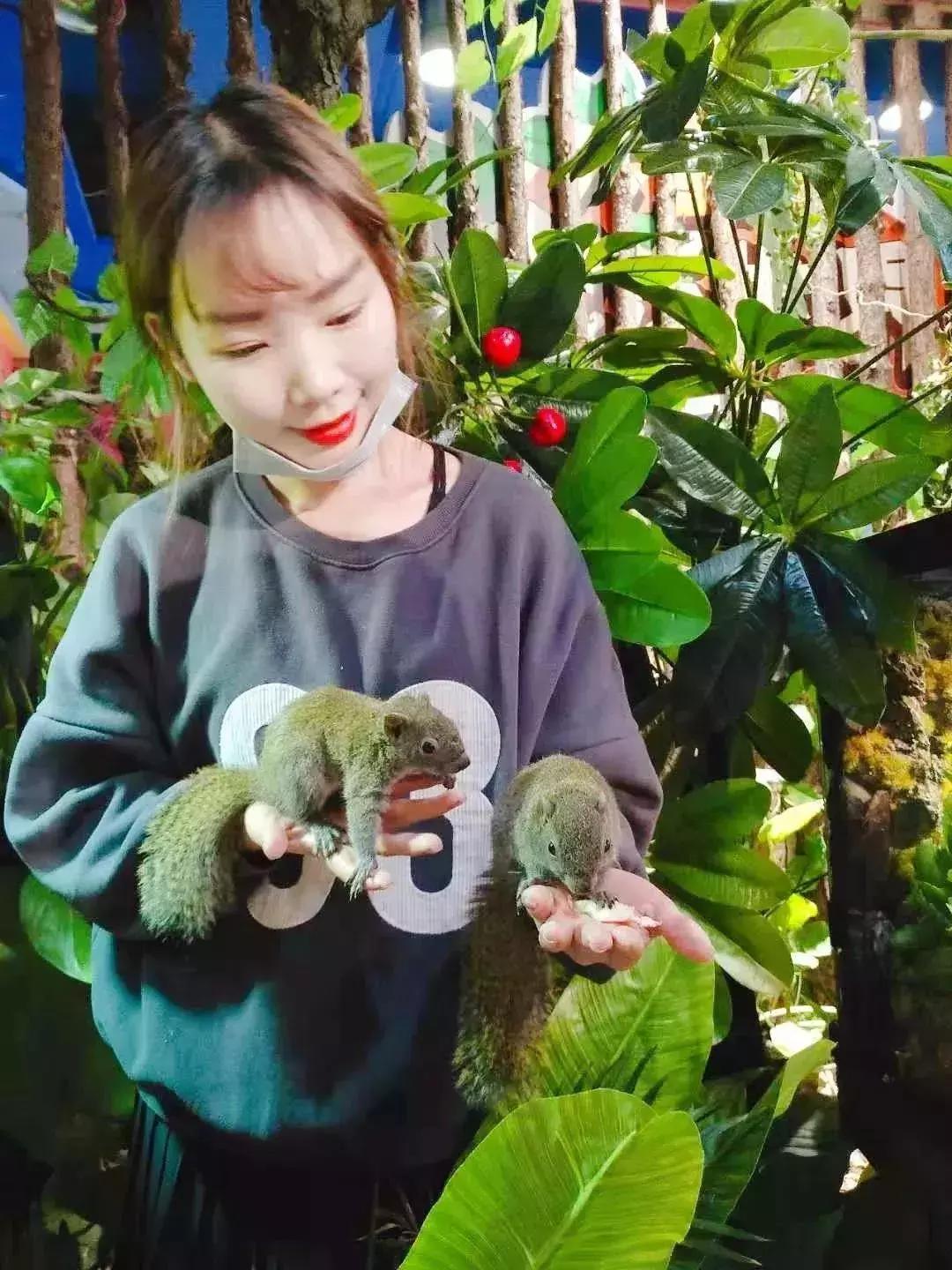 南阳市动物王国门票,南阳市动物主题公园