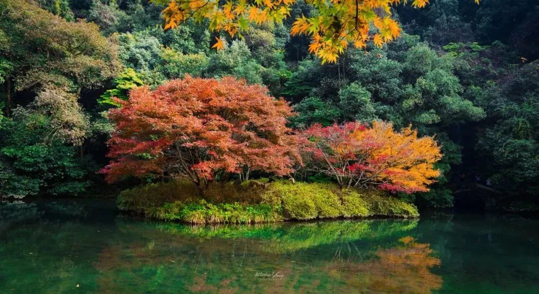 1011月错过它们,等于错过整个秋天!人少清净,随手一拍都是大片