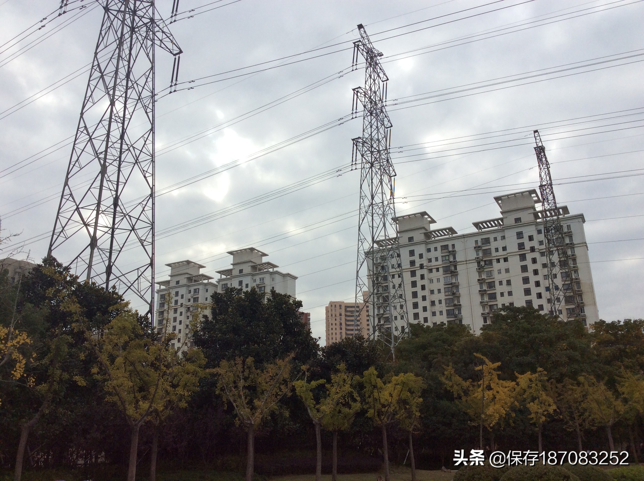 上海徐汇区公园名单,上海梦核公园