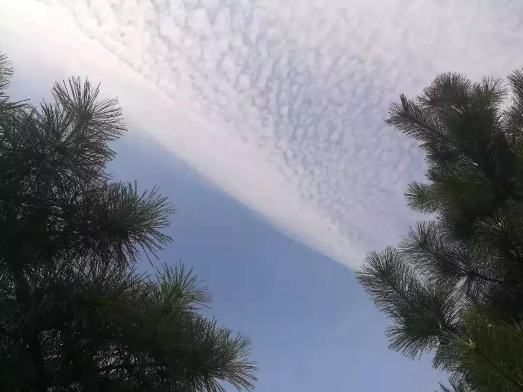 「真实故事」如何用一块钱拯救脱发少年？