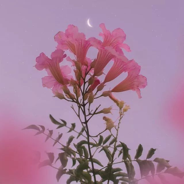 天空拼接背景图毫无违和感,天空背景图怎么拍出高级感