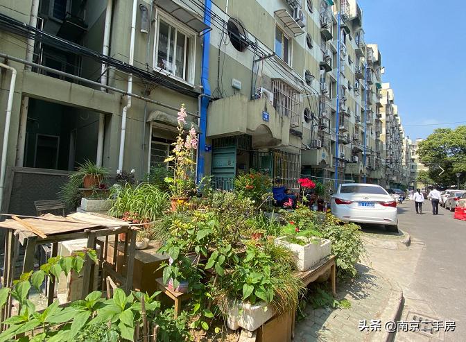 鼓楼学区房最新房价走势,鼓楼学区房最新房价