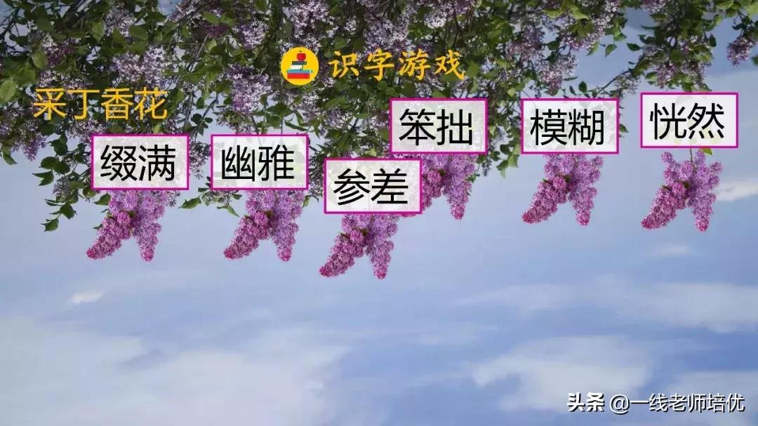 六年级上册第二课丁香结知识点,部编版六年级上册语文丁香结预习