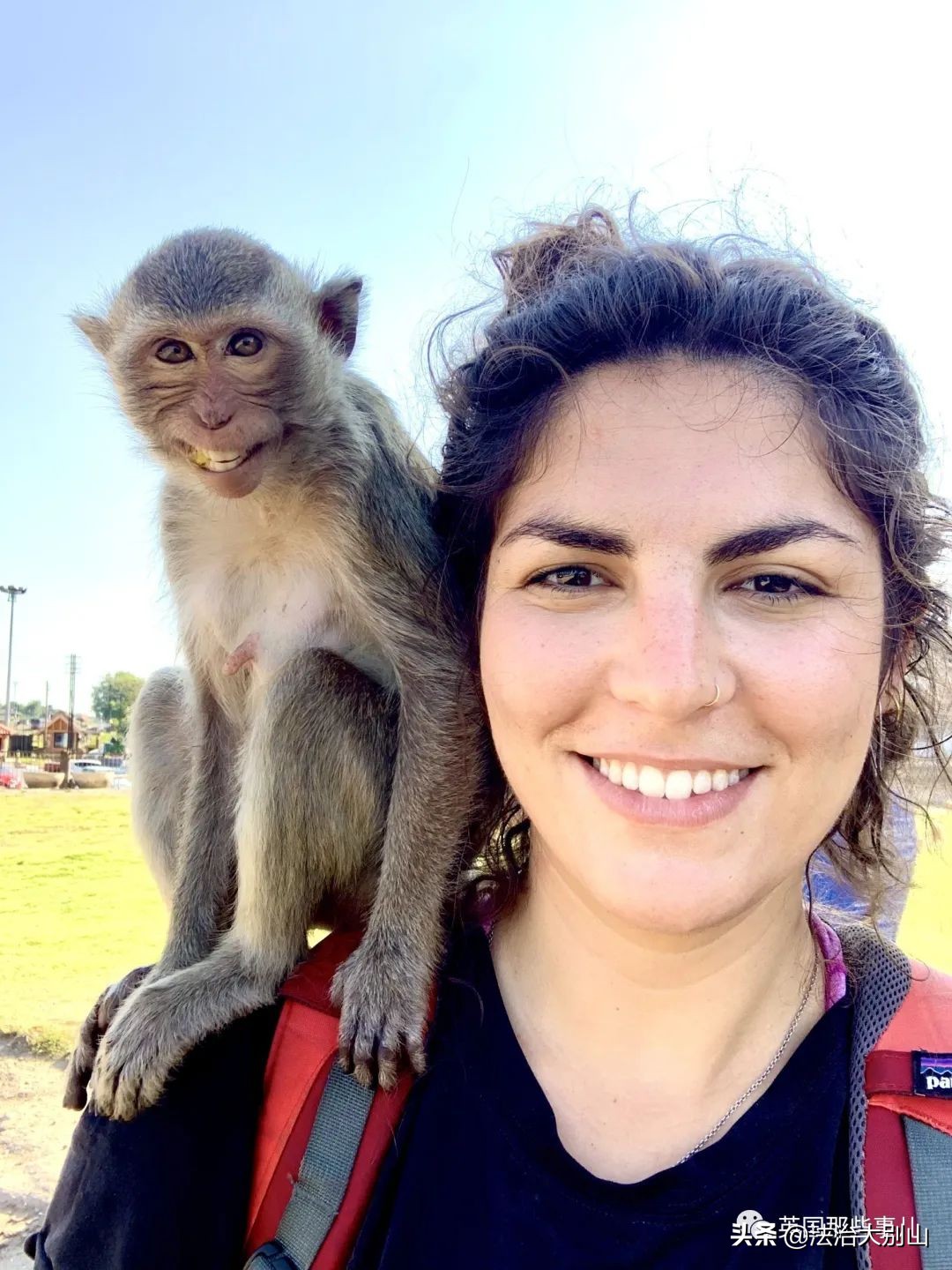 泰国疫情猴子,泰国猴子抗击疫情视频