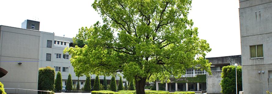 柠檬研｜九州大学艺术工学府设计专业硕博课程申请条件