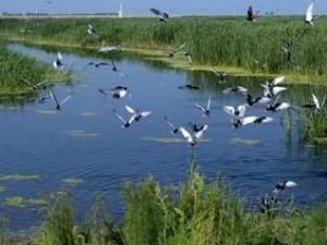 黑龙江大庆市房价,黑龙江大庆简介