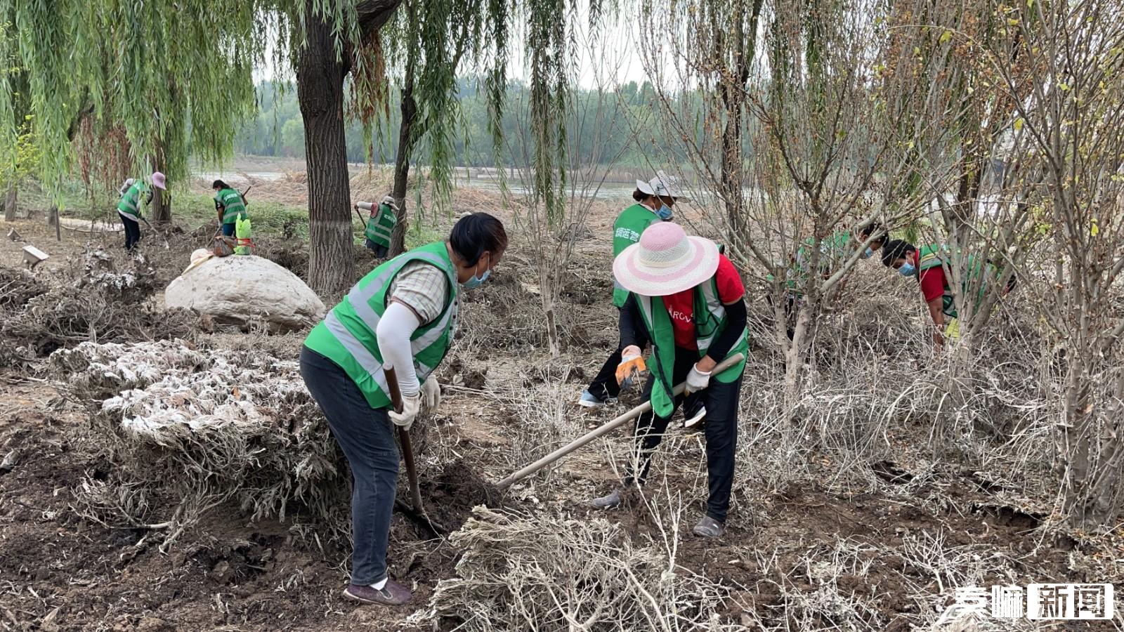 减河公园美景,近期减河湿地公园
