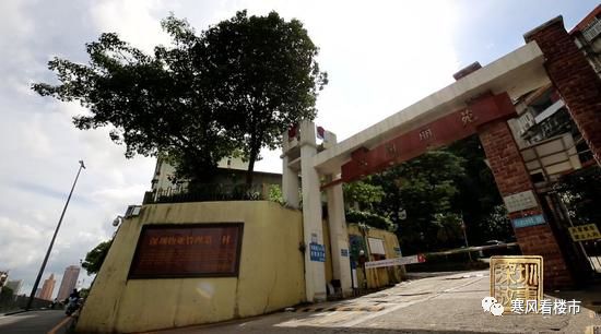 春天的故事深圳记录,春天的故事深圳高楼版