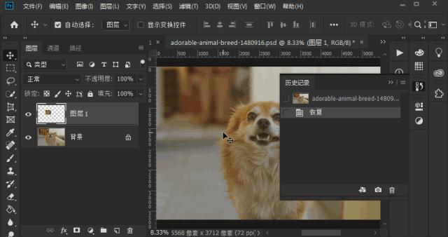 photoshop快捷键大全图解,photoshop快捷键对照表格大全