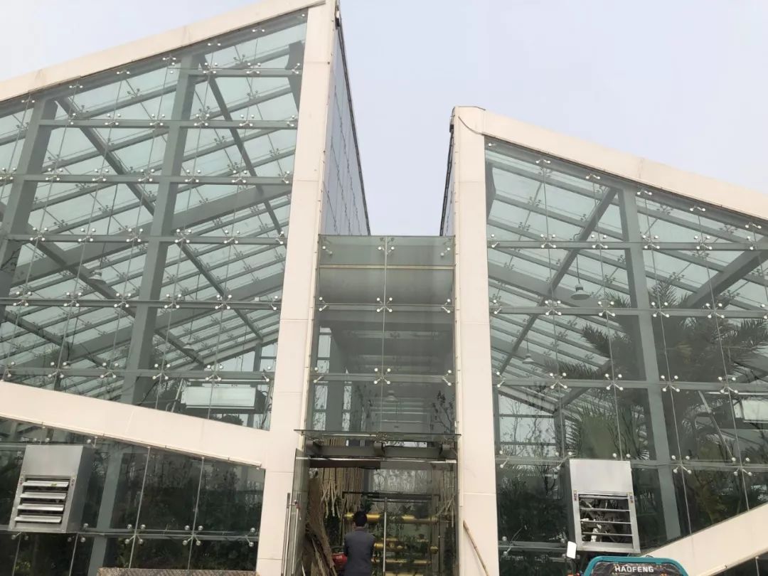 阜城大型公园在哪里,花海剧场区