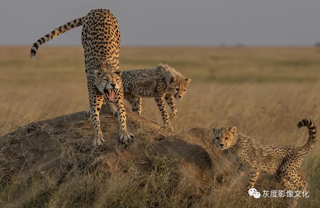 第四届国际风光摄影大赛,第四届国际摄影巡回赛