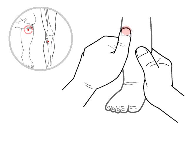 阳气发于什么穴位,中医认为人体阳气的根在肾