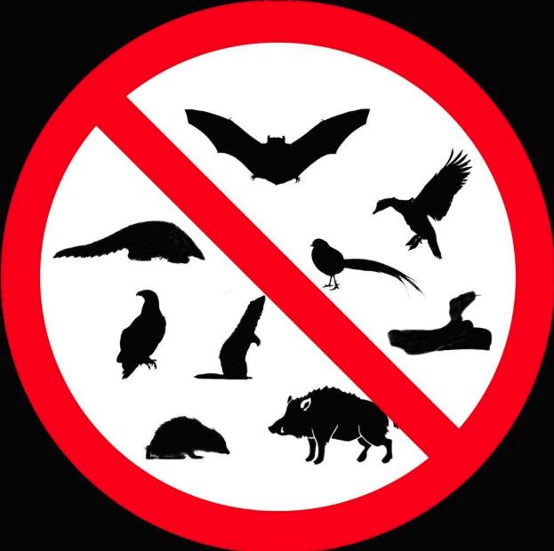 终于开始解除封禁了！别吃野味了，想要追求新鲜，多吃些野菜吧