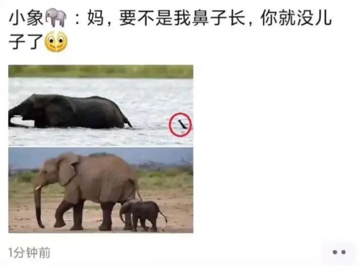 他们被杀之后，依然在爱你