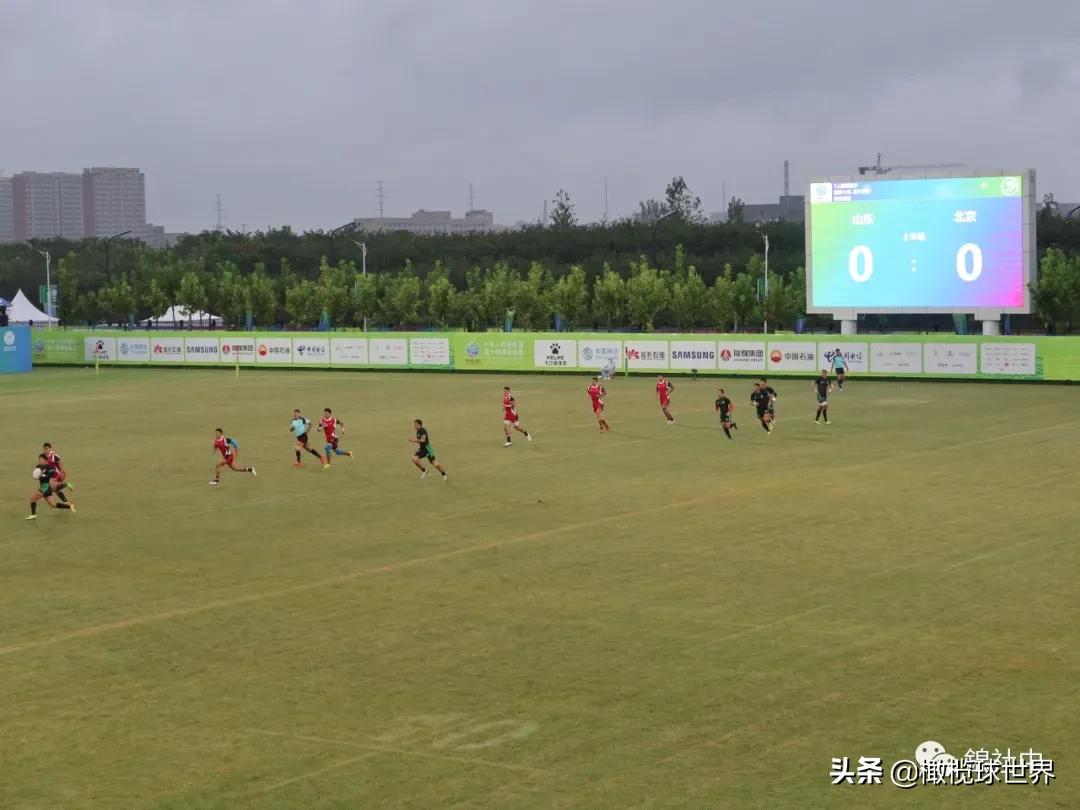 我和我的体育故事,我和运动会的故事