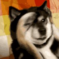 windows11美化升级,windows10升级windows11画质变了