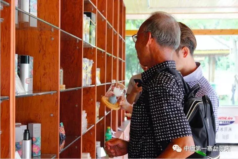 泰国顶级睡莲博士Dr.Nopchai版纳行，被勐景来圈粉