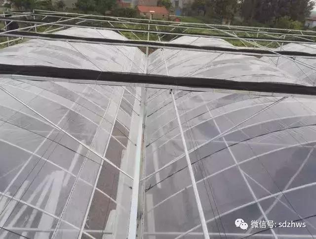 夏天为什么你的温室大棚不能用，而别人家的温室大棚里凉爽宜人