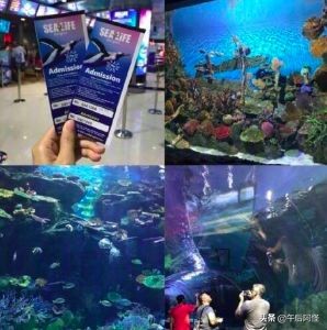 旅游攻略曼谷自由行路线,曼谷旅游攻略必买的物品