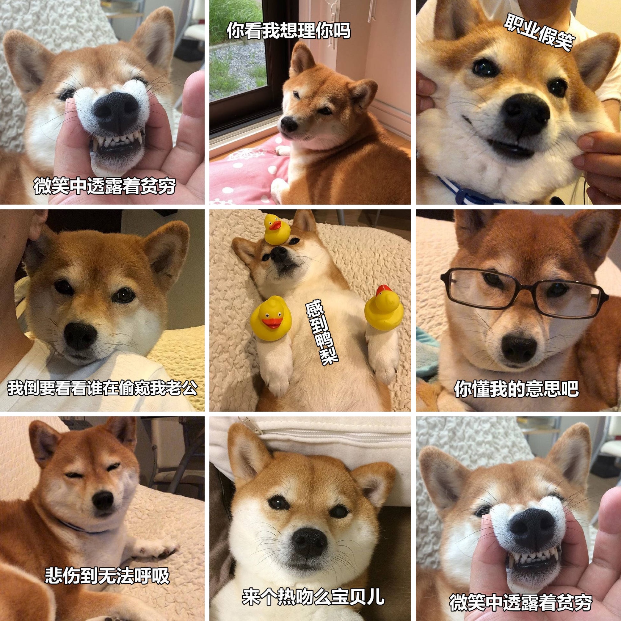 澶у瀷鎾掑▏鐜板満,澶у瀷鍗栬悓鐜板満