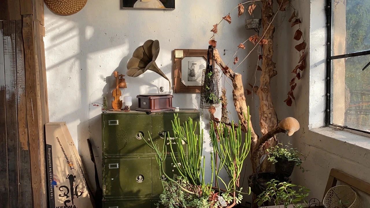 辞职创业开服装工作室,辞职创业开家居店